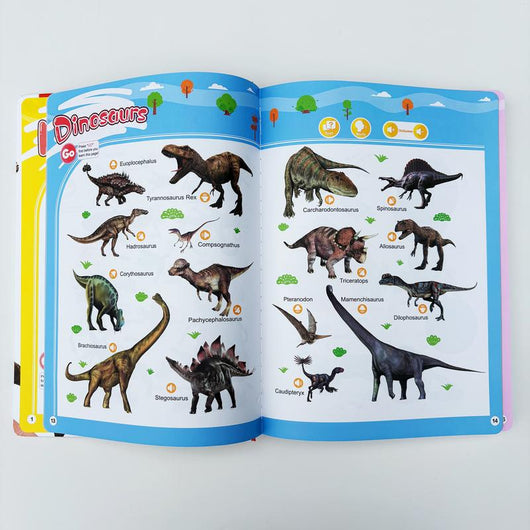 My First English Words Sound Toy
